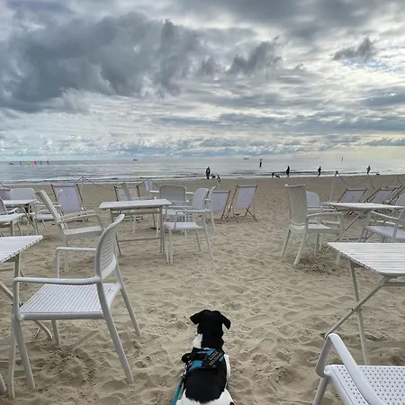 Blisko Plazy Appartement