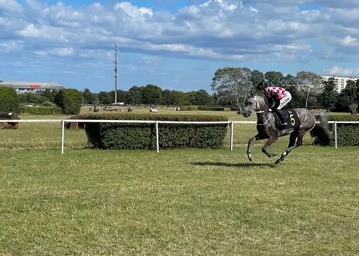 Blisko Plazy Апартаменти Сопот